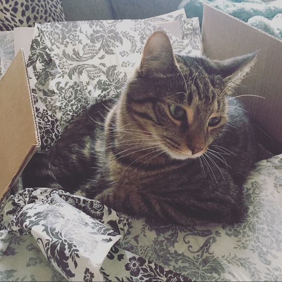 Meet your Posh Ambassador, Maddison! - Picture 3 of 7